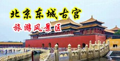美女穿白丝自慰抽插中国北京-东城古宫旅游风景区